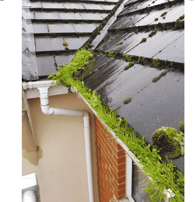 Gutter Cleaning Wandsworth Sam S Gutters Ltd