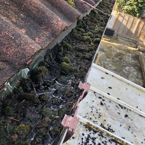 gutter that needs cleaning