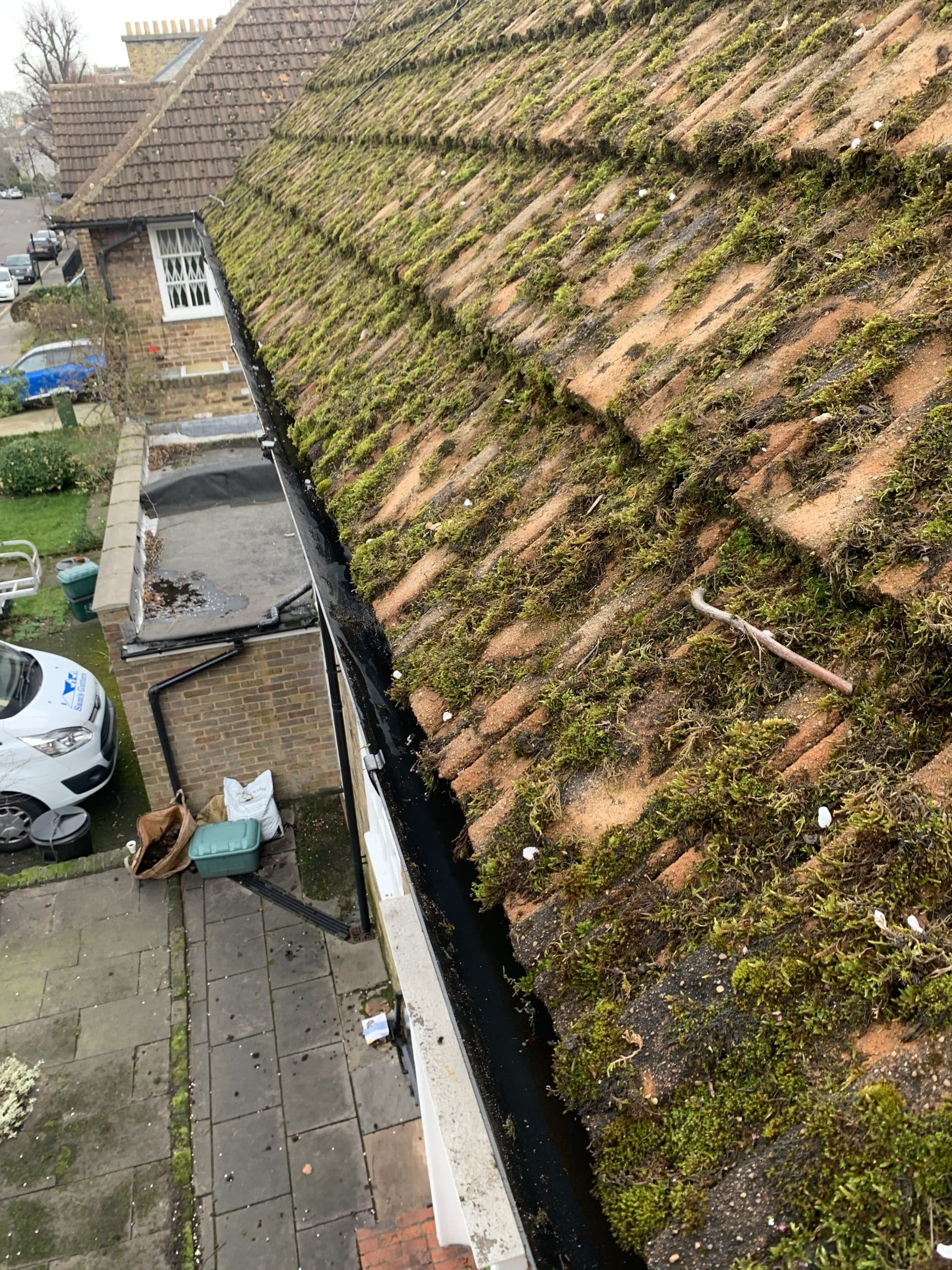 moss on roof